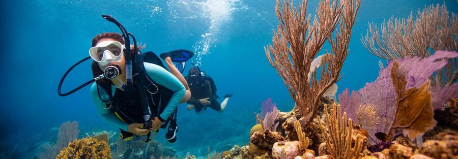 diving sulawesi