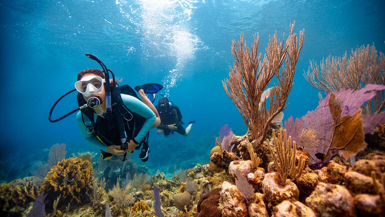 diving sulawesi